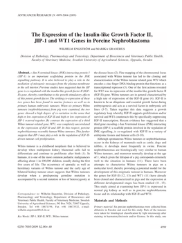 The Expression of the Insulin-Like Growth Factor II, JIP-1 and WT1 Genes in Porcine Nephroblastoma