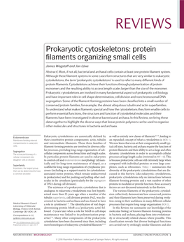 Prokaryotic Cytoskeletons: Protein Filaments Organizing Small Cells