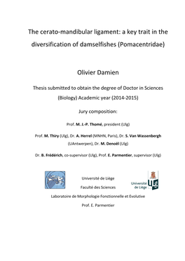 The Cerato-Mandibular Ligament: a Key Trait in the Diversification of Damselfishes (Pomacentridae)
