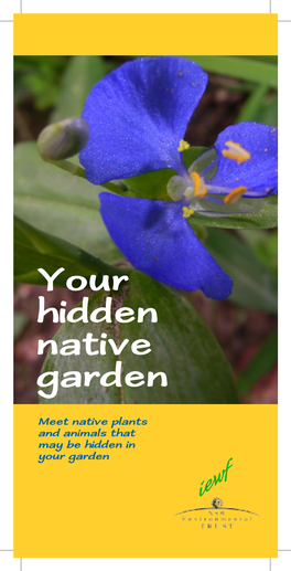 Your Hidden Native Garden