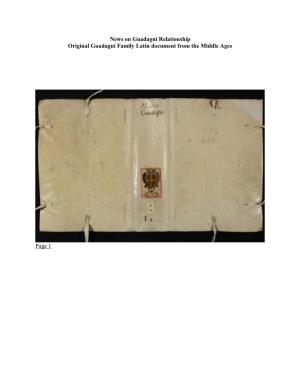 News on Guadagni Relationship Original Guadagni Family Latin Document from the Middle Ages