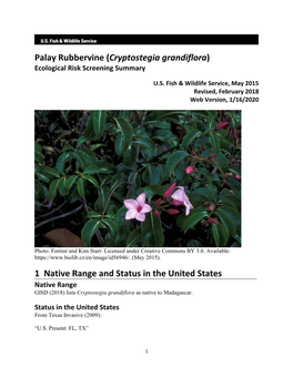 Cryptostegia Grandiflora) Ecological Risk Screening Summary