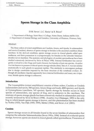 Sperm Storage in the Class Amphibia