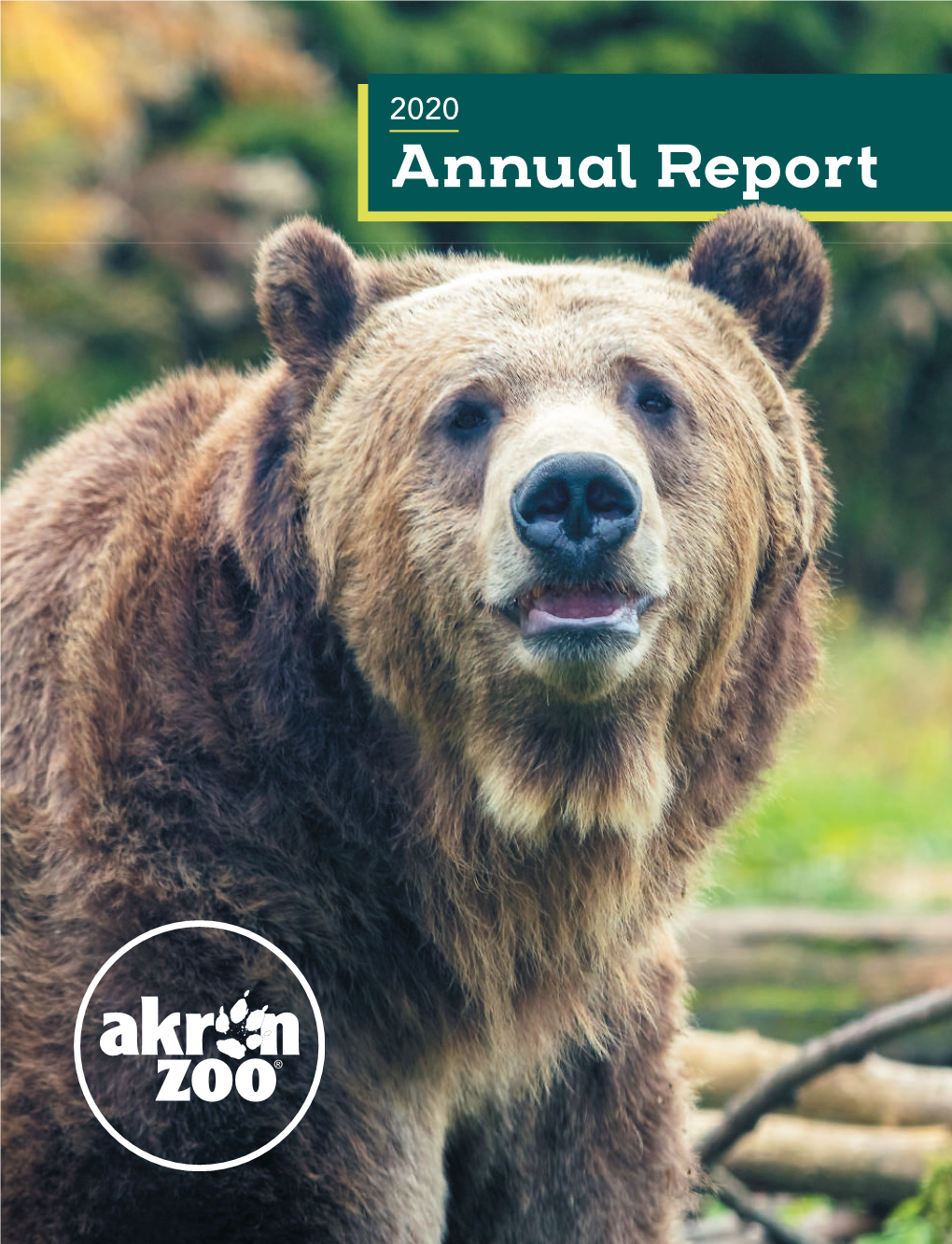 2020 Annual Report