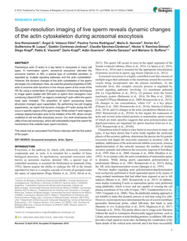Super-Resolution Imaging of Live Sperm Reveals Dynamic Changes of the Actin Cytoskeleton During Acrosomal Exocytosis Ana Romarowski1, Ángel G
