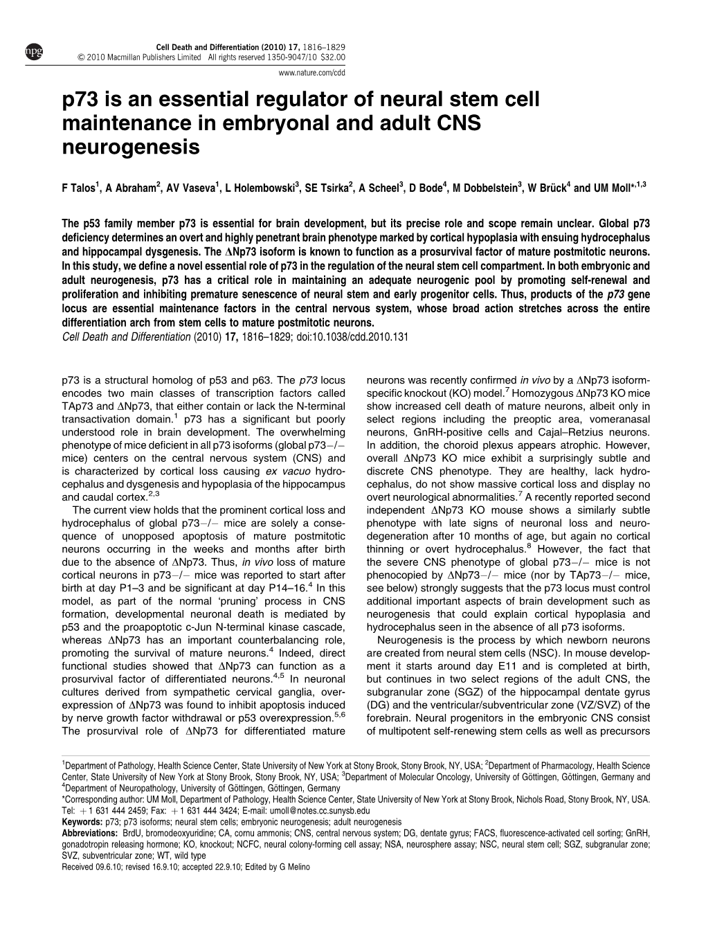 P73 Is an Essential Regulator of Neural Stem Cell Maintenance in Embryonal and Adult CNS Neurogenesis