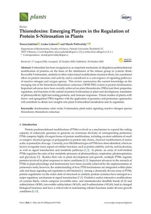Emerging Players in the Regulation of Protein S-Nitrosation in Plants