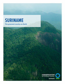 Suriname Verticle Factsheet