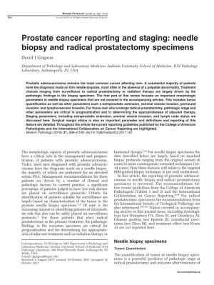 Needle Biopsy and Radical Prostatectomy Specimens David J Grignon