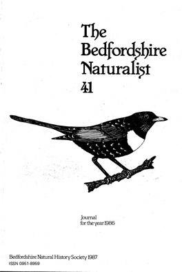 The Bedford,Hire Naturali,T 41