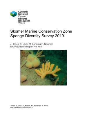 Skomer Marine Conservation Zone Sponge Diversity Survey 2019