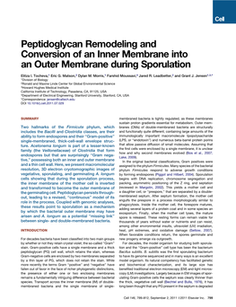 Peptidoglycan Remodeling and Conversion of an Inner Membrane Into an Outer Membrane During Sporulation