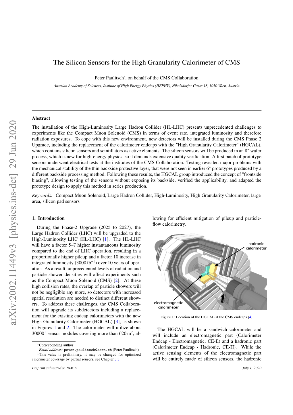 The Silicon Sensors for the High Granularity Calorimeter of CMS