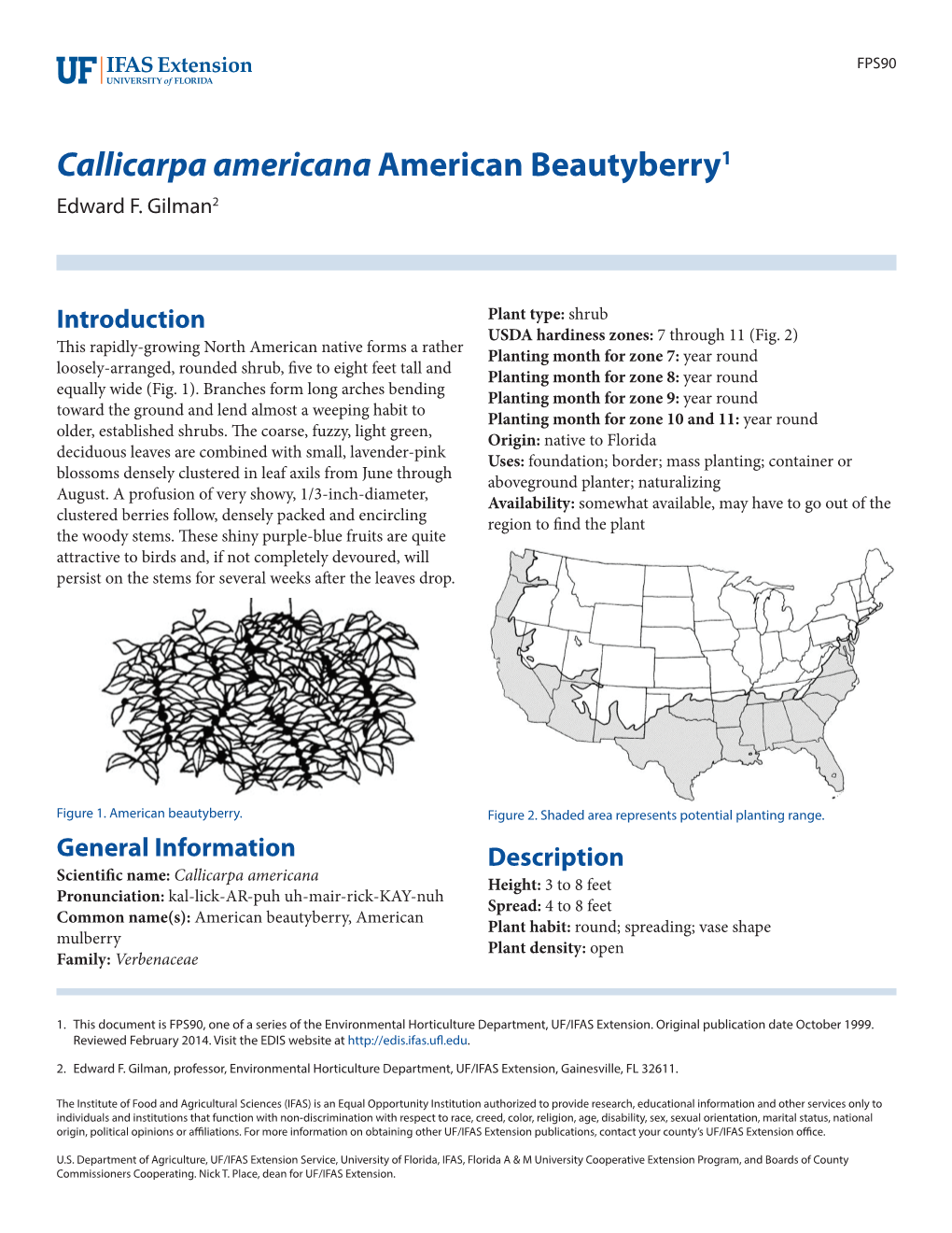 Callicarpa Americana American Beautyberry1 Edward F