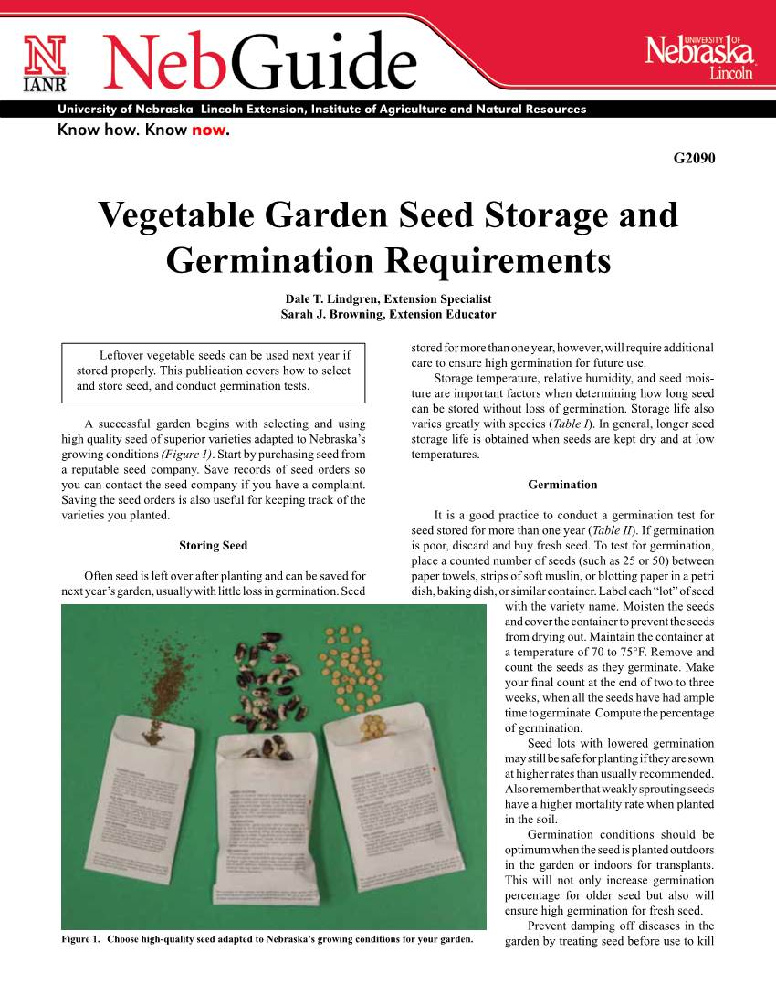 Vegetable Garden Seed Storage and Germination Requirements