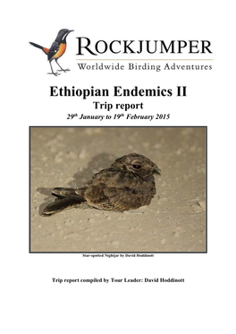 Ethiopian Endemics II Trip Report