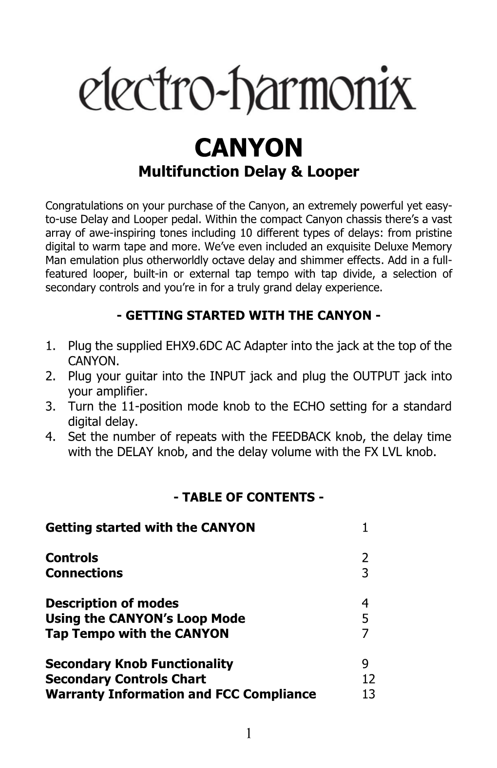 CANYON Multifunction Delay & Looper