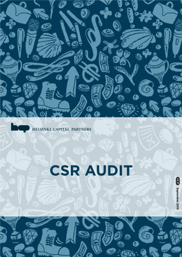 HCP-CSR-Audit.Pdf