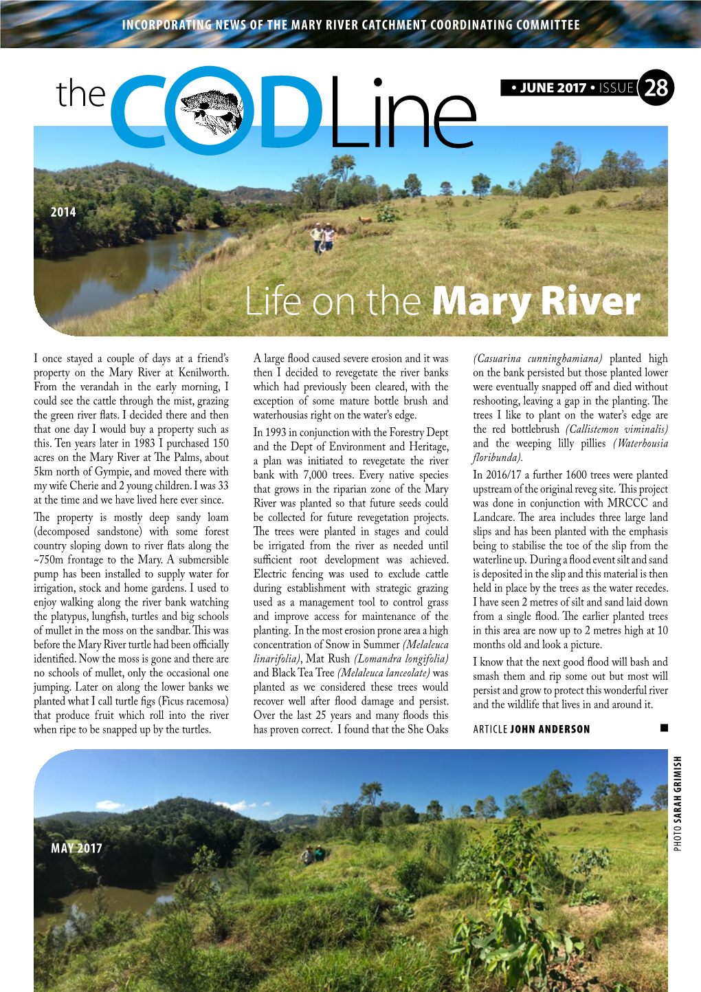 Life on the Mary River