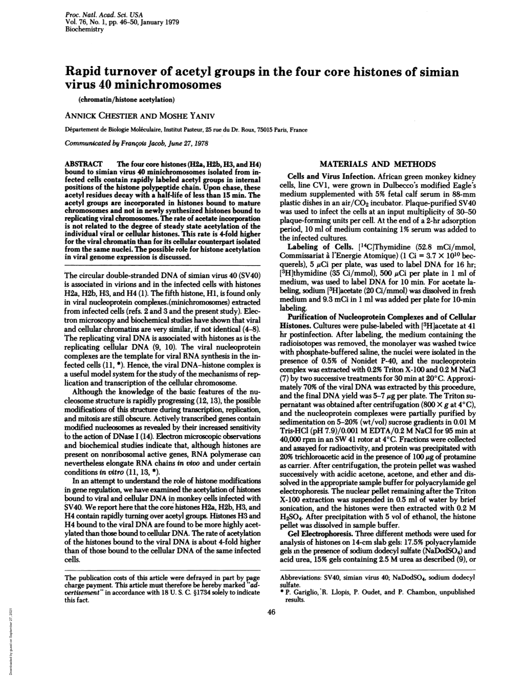 Rapid Turnover of Acetyl Groups in the Four Core Histones of Simian Virus 40