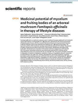 Medicinal Potential of Mycelium and Fruiting Bodies of an Arboreal