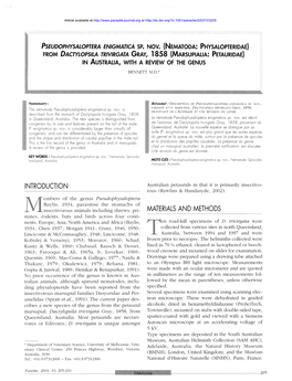 Pseudophysaloptera Enigmatica Sp. Nov. \(Nematoda: Physalopteridae\)