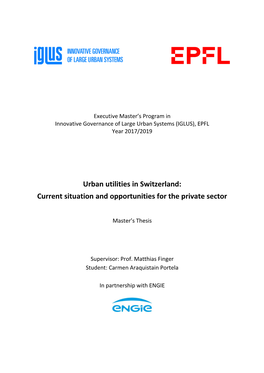 Urban Utilities in Switzerland: Current Situation and Opportunities for the Private Sector