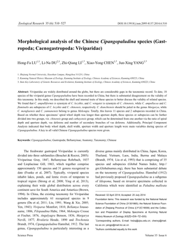 Morphological Analysis of the Chinese Cipangopaludina Species (Gast- Ropoda; Caenogastropoda: Viviparidae)