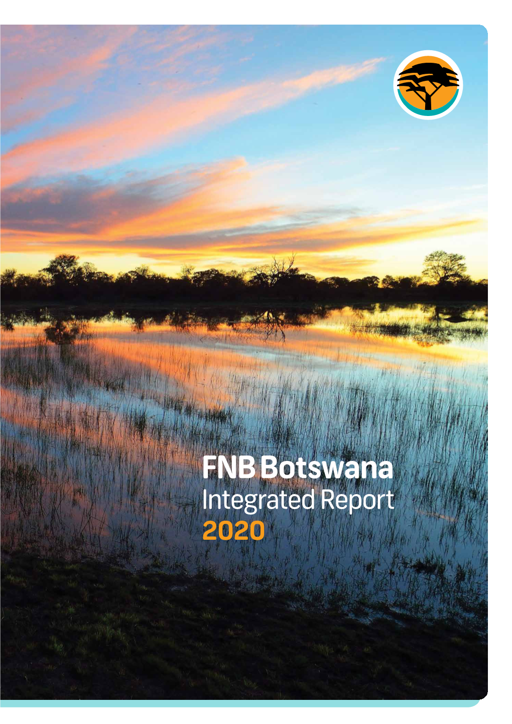 FNB Botswana Integrated Report 2020