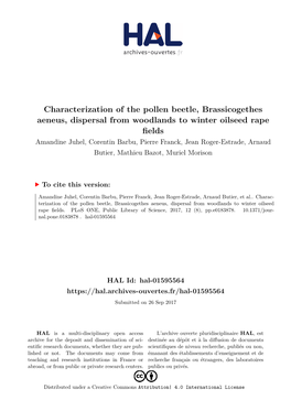 Characterization of the Pollen Beetle