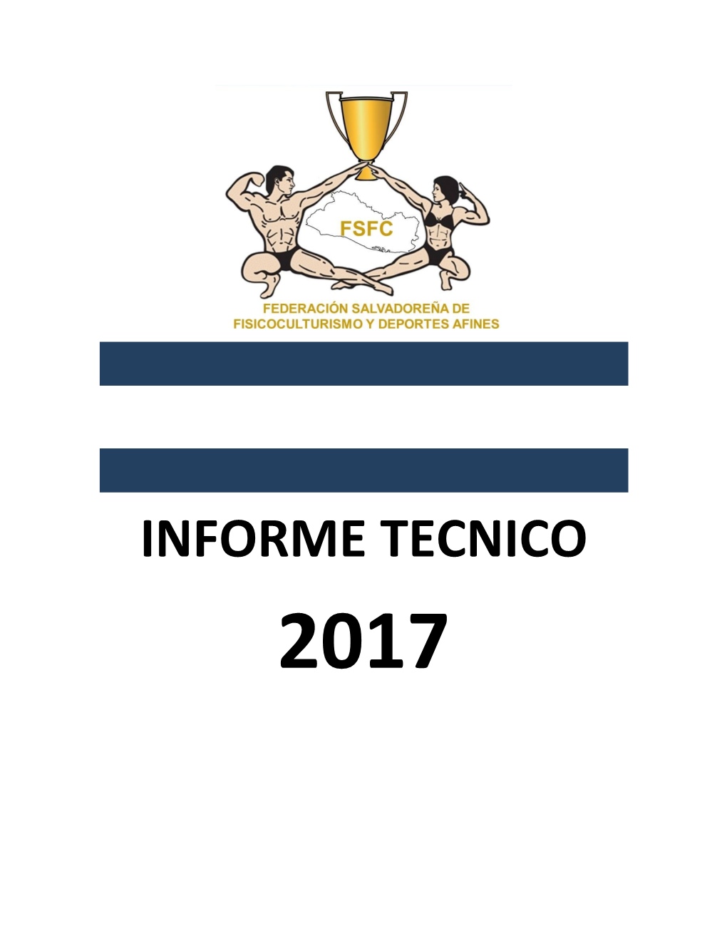 Informe Tecnico 2017