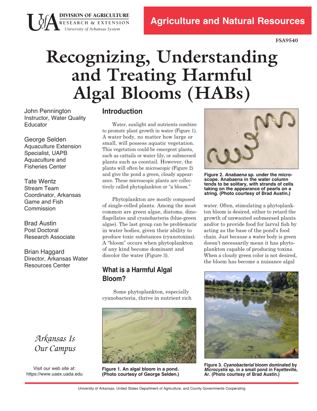 Recognizing, Understanding and Treating Harmful Algal Blooms