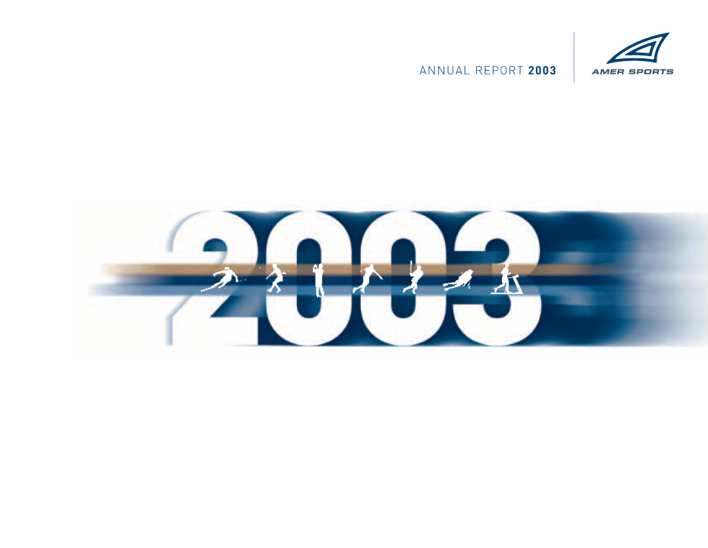 Amer Group Annual Report 2003 Annual Report