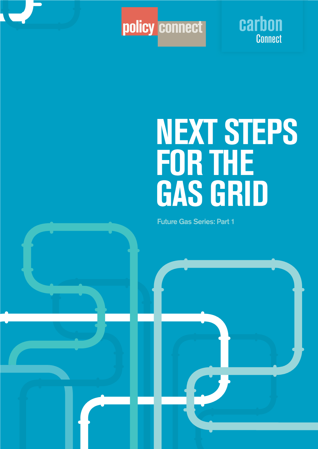 NEXT STEPS for the GAS GRID Future Gas Series: Part 1 Future Gas Series Part 1: Next Steps for the Gas Grid 1