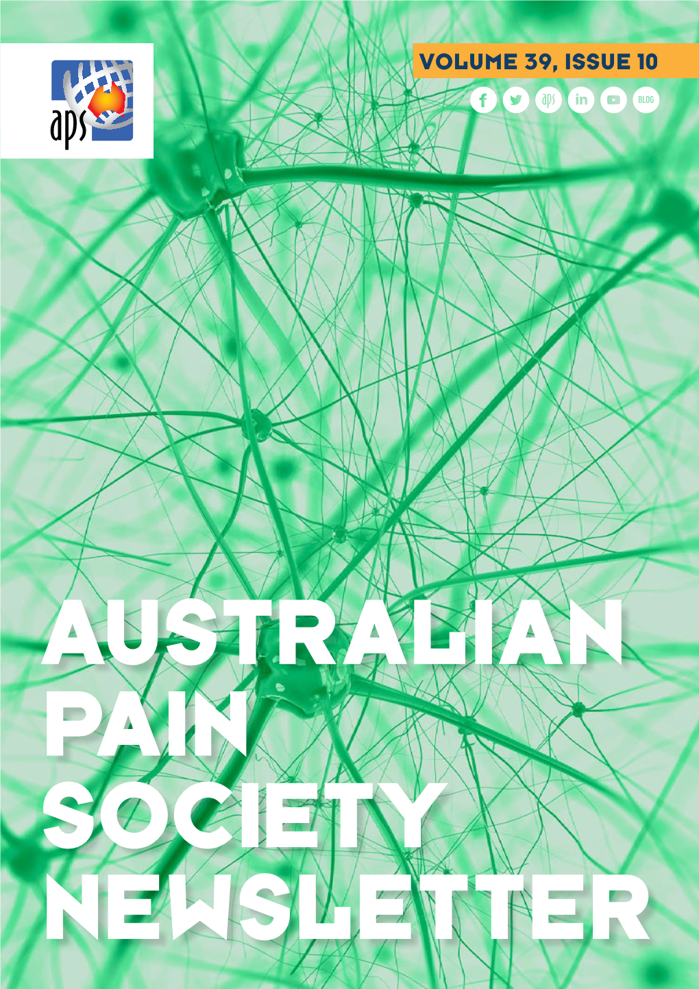 Volume 39, Issue 10 | Dec 2019 Australian Pain Society Newsletter Edit Me