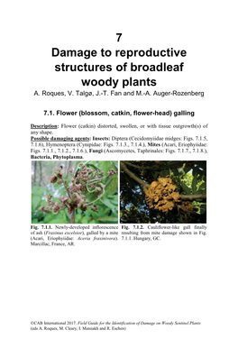 Field Guide for the Identification of Damage on Woody Sentinel Plants (Eds A