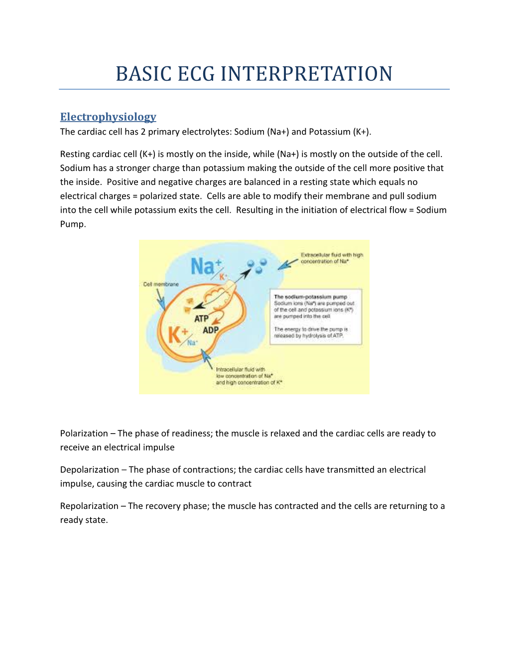 Basic Ecg Interpretation