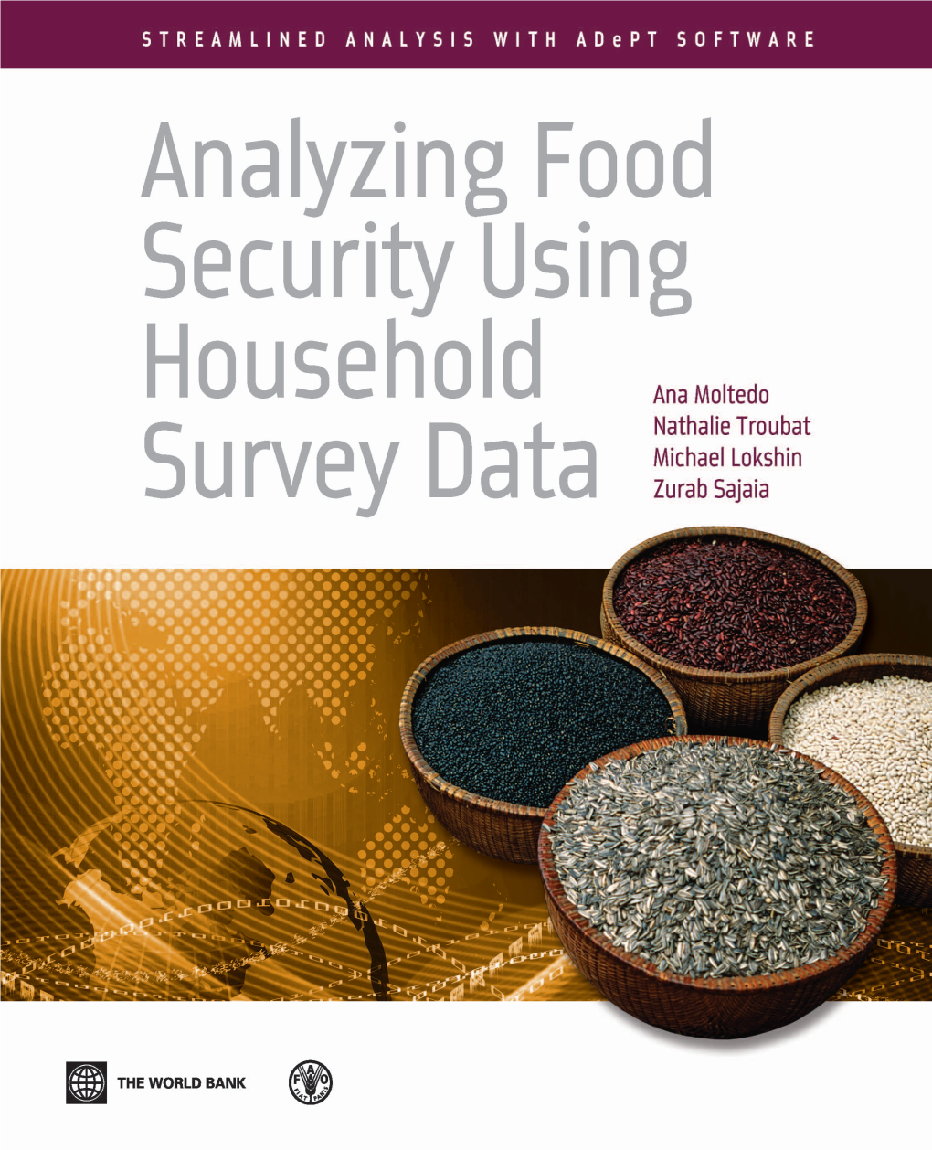 Analyzing Food Security Using Household Surveys