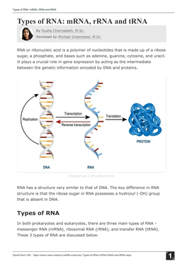 Mrna, Rrna and Trna Types of RNA: Mrna, Rrna and Trna
