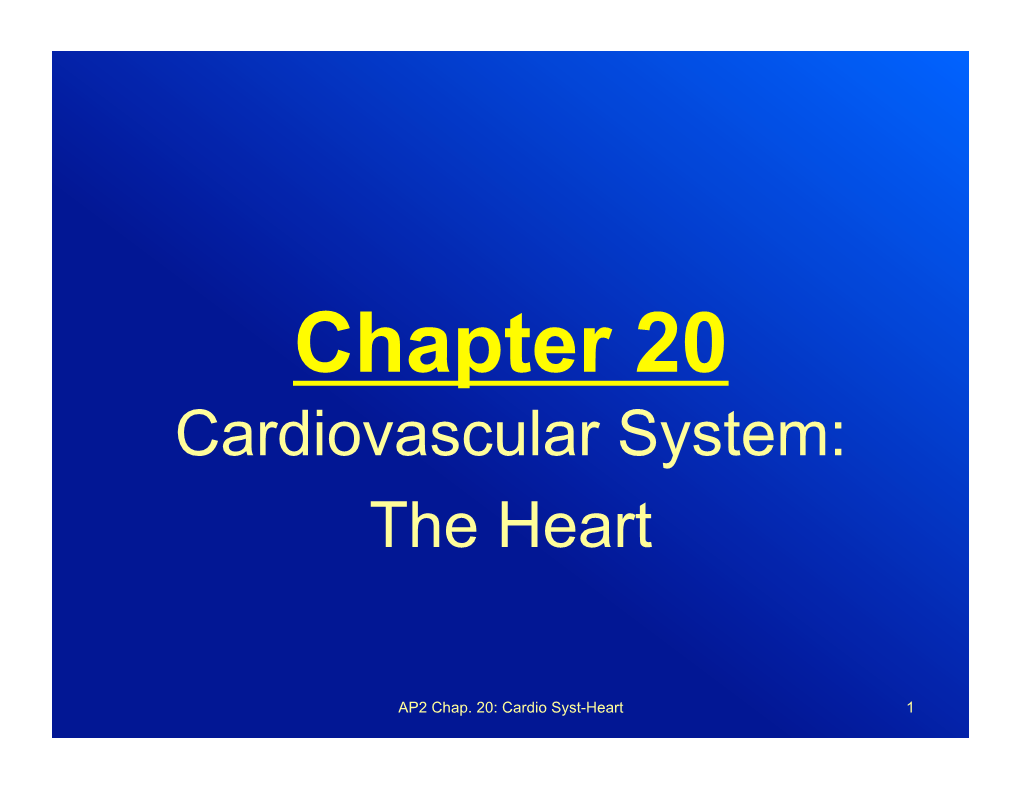Chapter 20 Cardiovascular System: the Heart