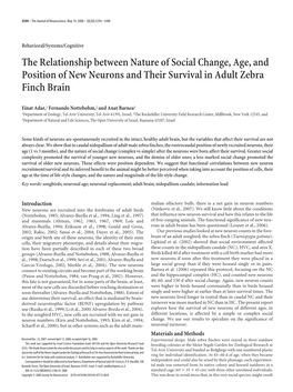 The Relationship Between Nature of Social Change, Age, and Position of New Neurons and Their Survival in Adult Zebra Finch Brain