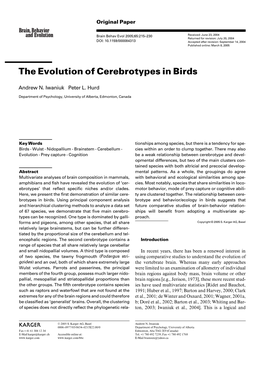 The Evolution of Cerebrotypes in Birds