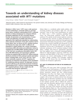 Towards an Understanding of Kidney Diseases Associated with WT1 Mutations Lihua Dong1, Stefan Pietsch1 and Christoph Englert1,2