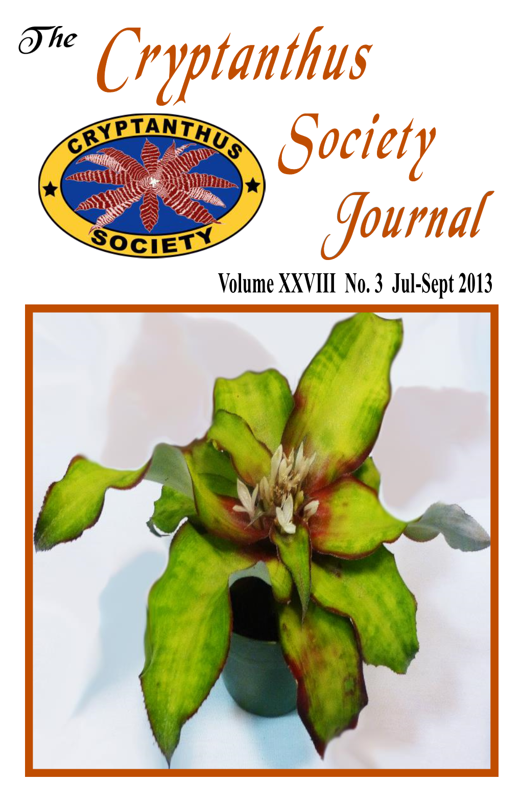 Cryptanthus Society Journal Volume XXVIII No