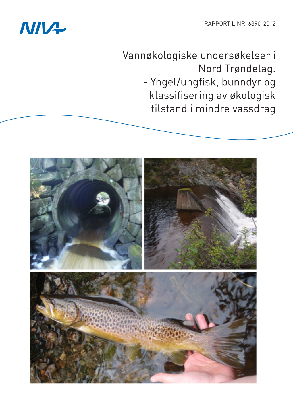 Yngel/Ungfisk, Bunndyr Og Klassifisering Av Økologisk Tilstand I Mindre Vassdrag