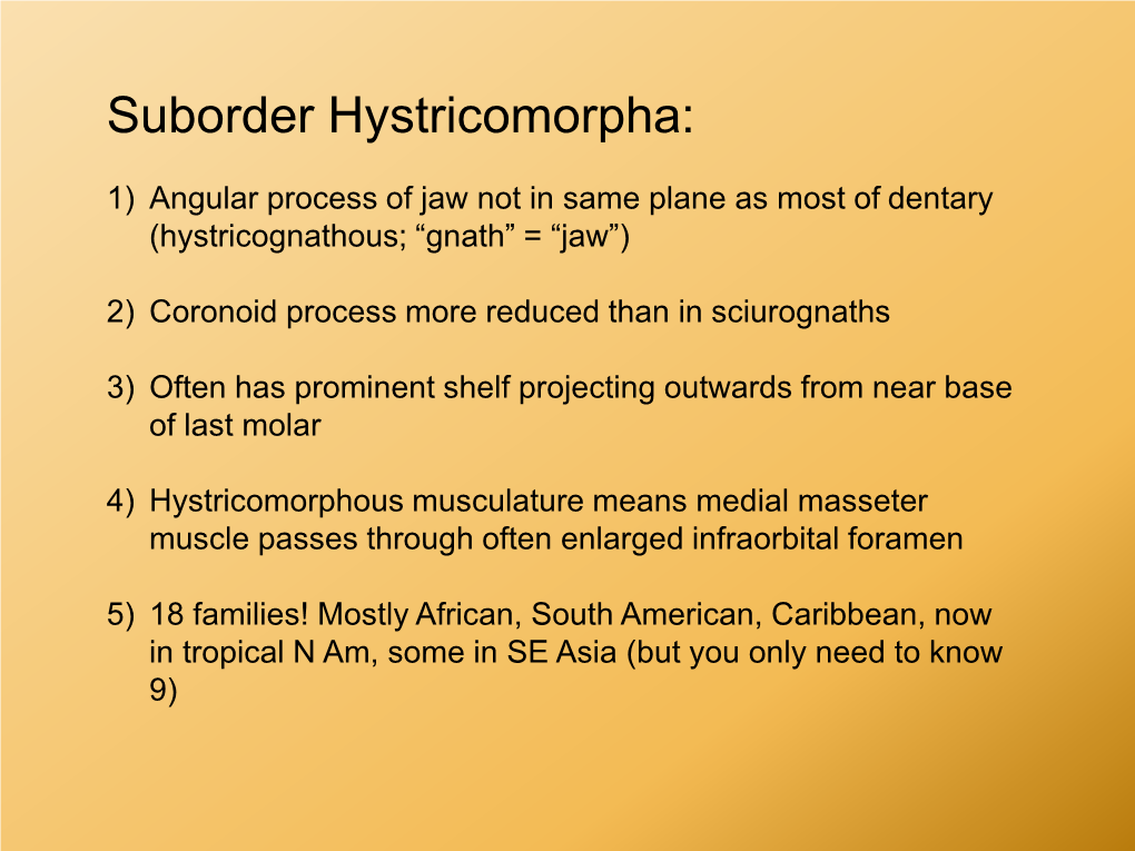 Suborder Hystricomorpha