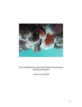 Aylin's Mediterranean Alien Species (Macroinvertebrates) Identification