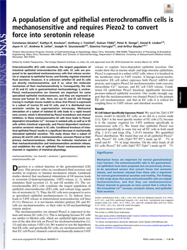 A Population of Gut Epithelial Enterochromaffin Cells Is Mechanosensitive and Requires Piezo2 to Convert Force Into Serotonin Release