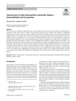 Ultrastructure of Adult Gasterophilus Intestinalis (Diptera: Gasterophilidae) and Its Puparium