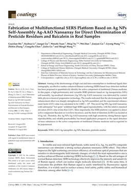 Fabrication of Multifunctional SERS Platform Based on Ag Nps Self